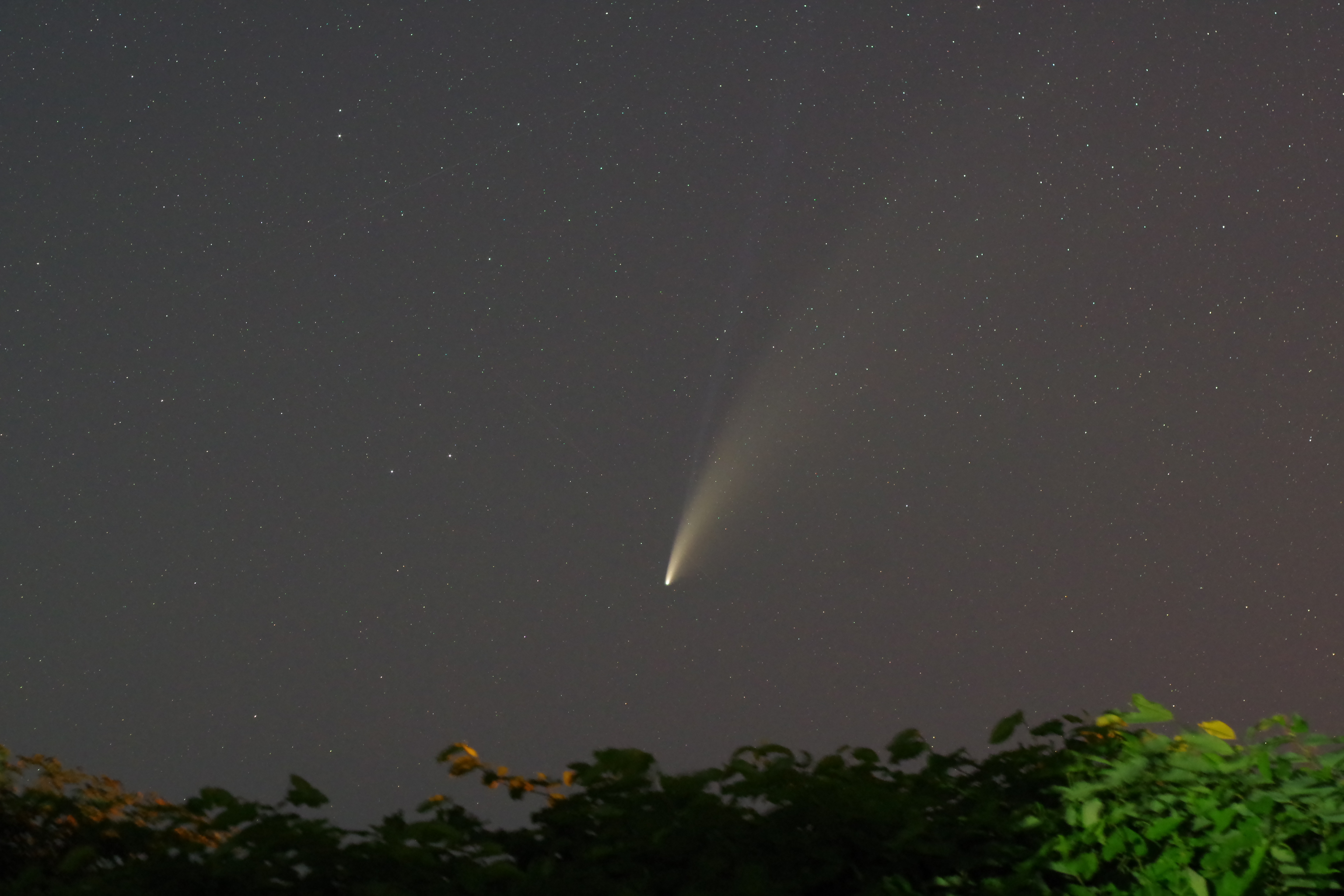 肉眼で彗星を見た！〜タンネウシコラム8月号
